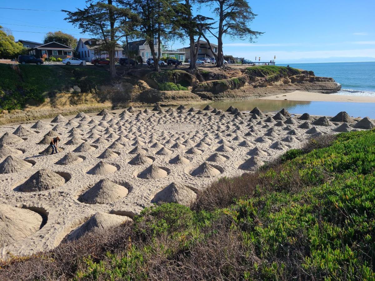 Sunny Cove Motel Capitola Exterior foto